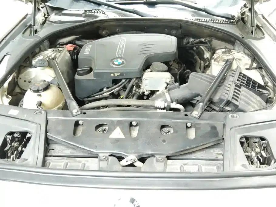 2014 BMW 5 Series 525Li Luxury Design Package — миниатюра 10