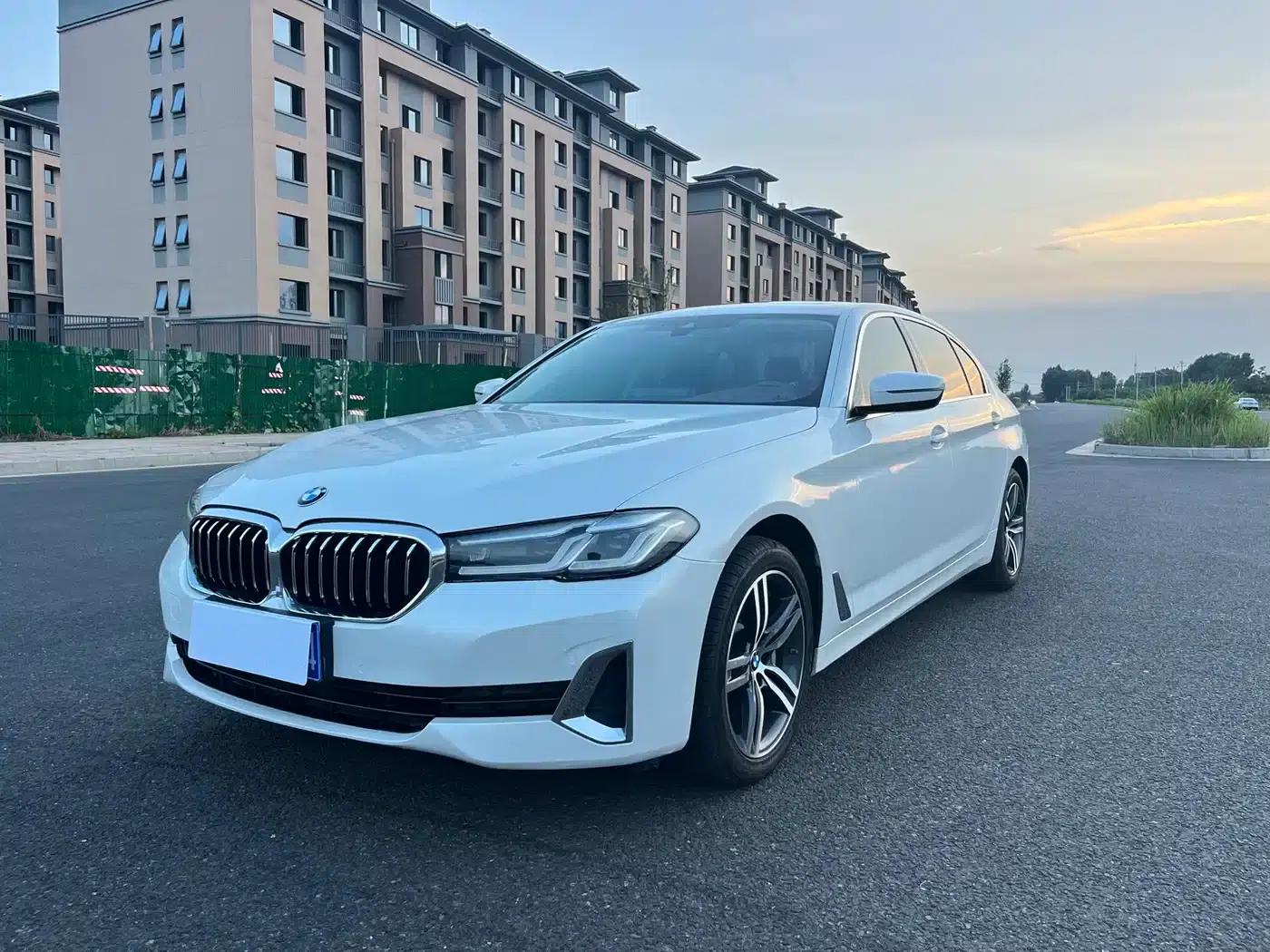 BMW 5 Series 2021 530Li Leading Luxury Package — миниатюра 1