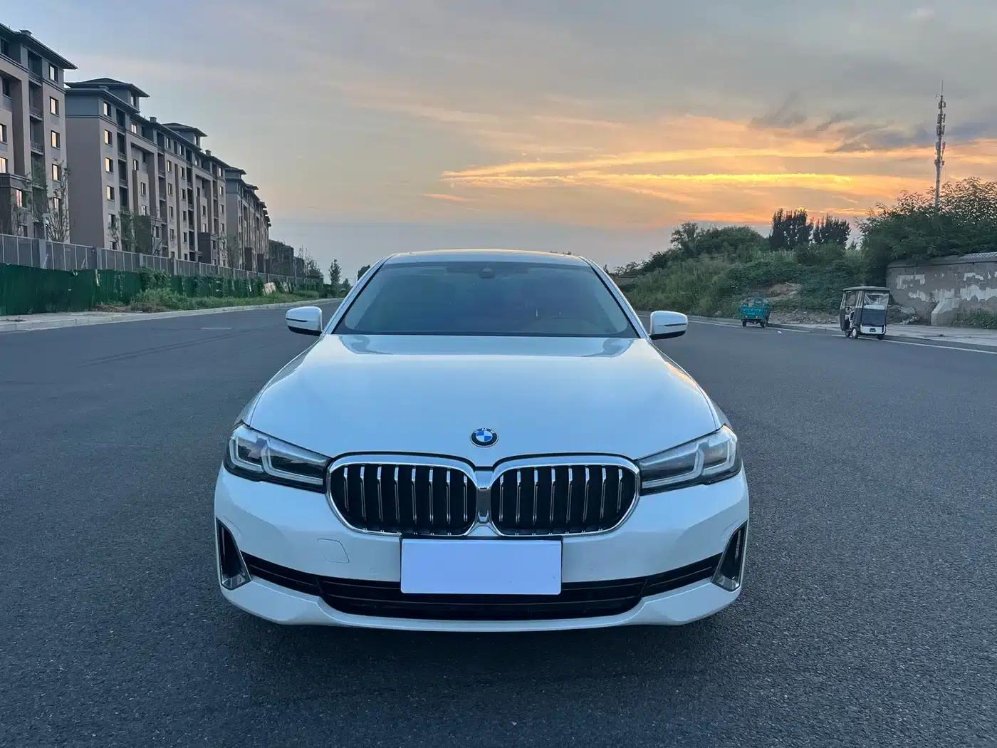 BMW 5 Series 2021 530Li Leading Luxury Package — миниатюра 2