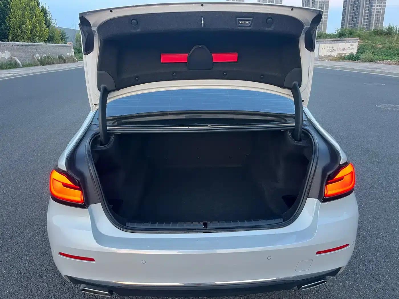 BMW 5 Series 2021 530Li Leading Luxury Package — миниатюра 12
