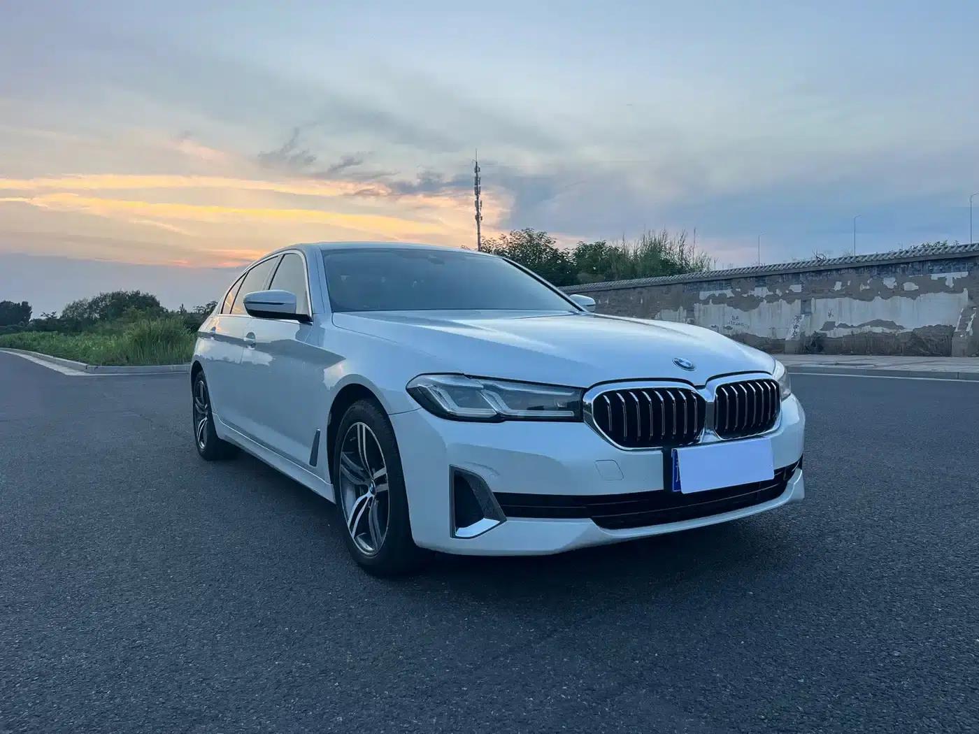 BMW 5 Series 2021 530Li Leading Luxury Package — миниатюра 3