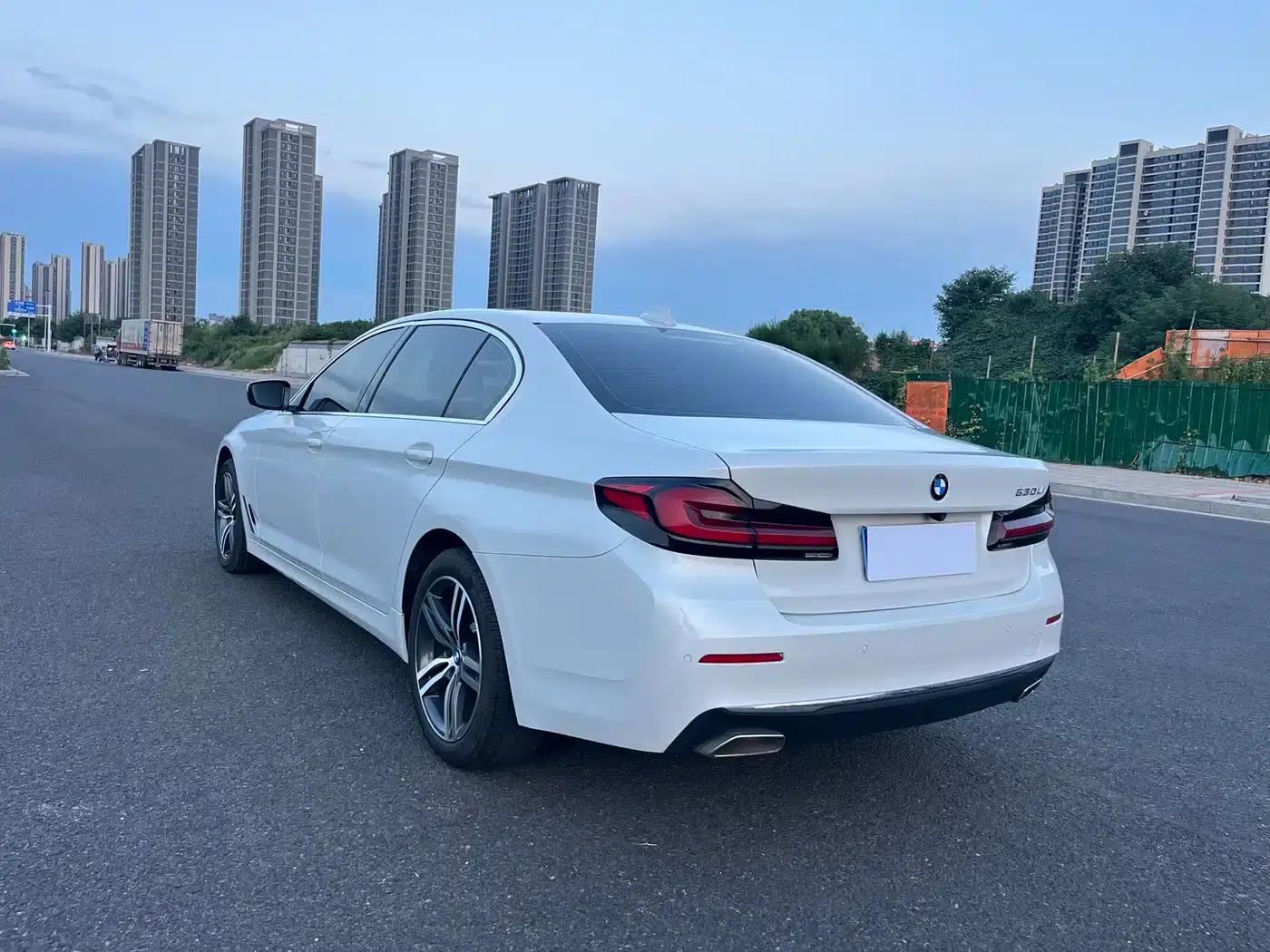 BMW 5 Series 2021 530Li Leading Luxury Package — миниатюра 4