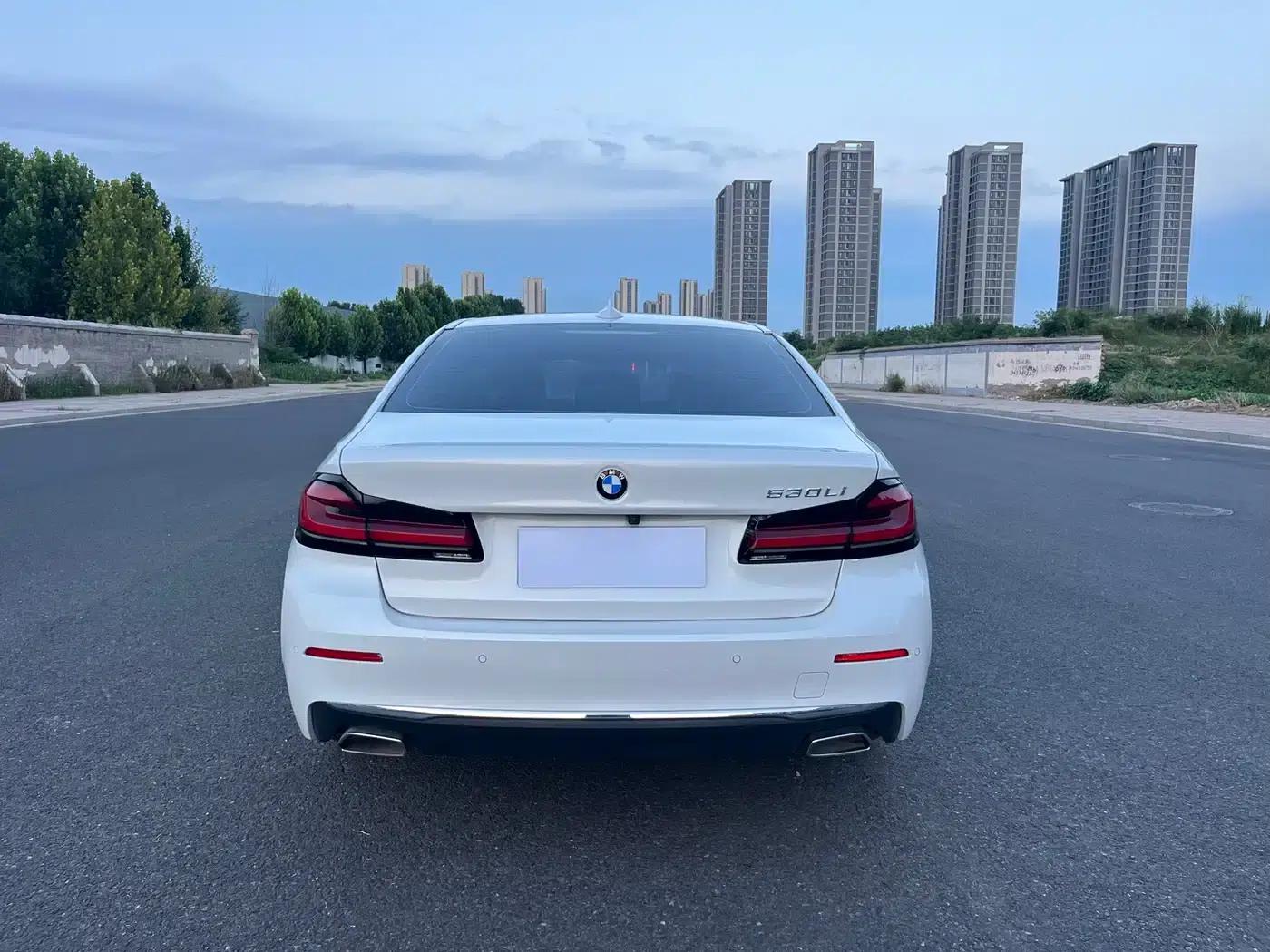 BMW 5 Series 2021 530Li Leading Luxury Package — миниатюра 5