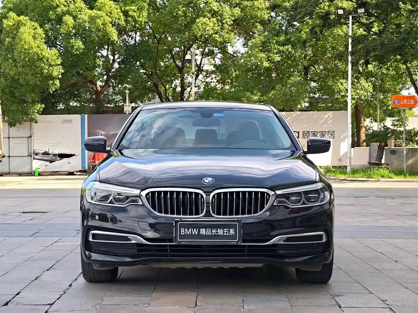 BMW 5 Series 2019 530Li Luxury Package — миниатюра 2