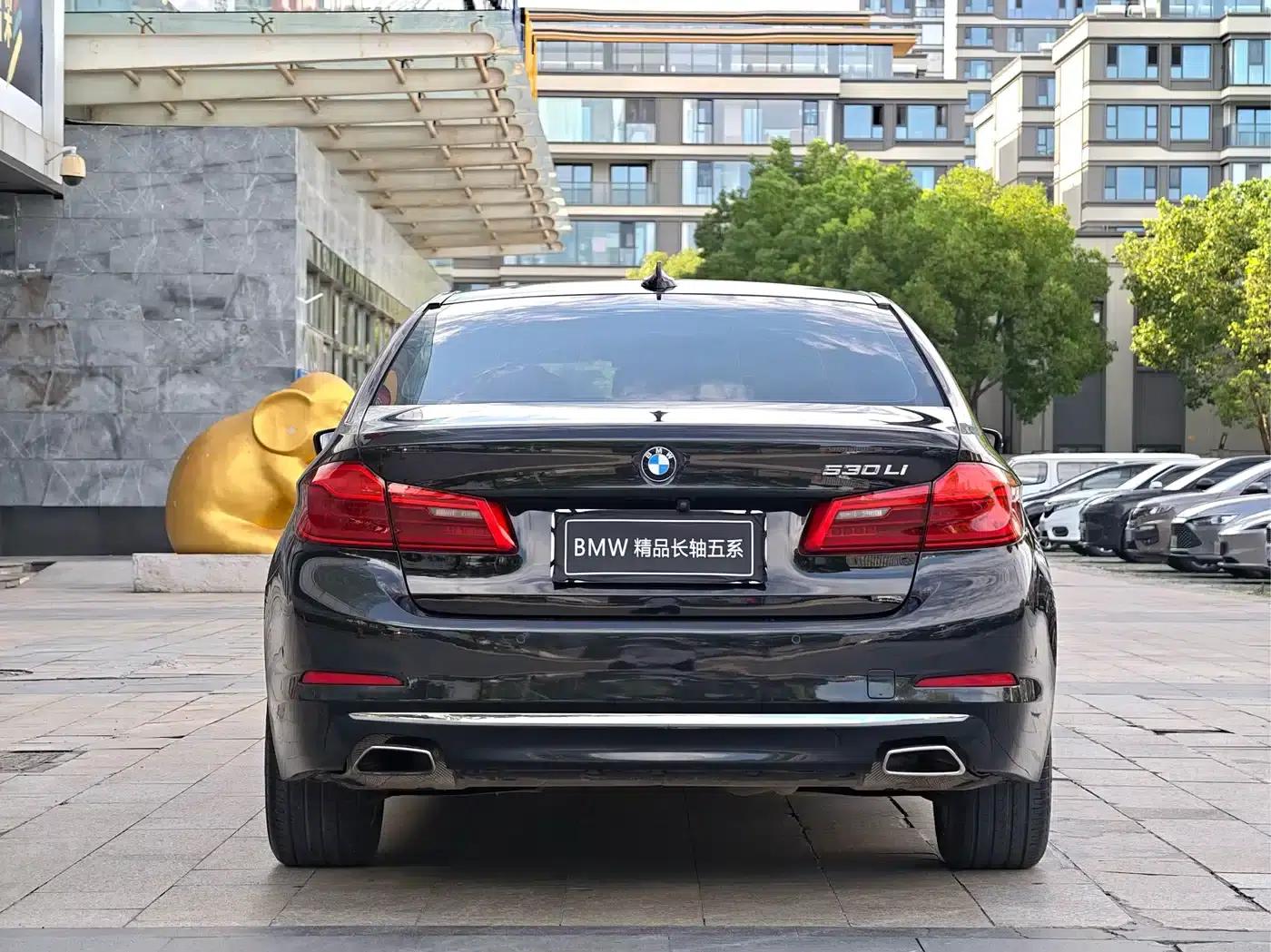 BMW 5 Series 2019 530Li Luxury Package — миниатюра 3