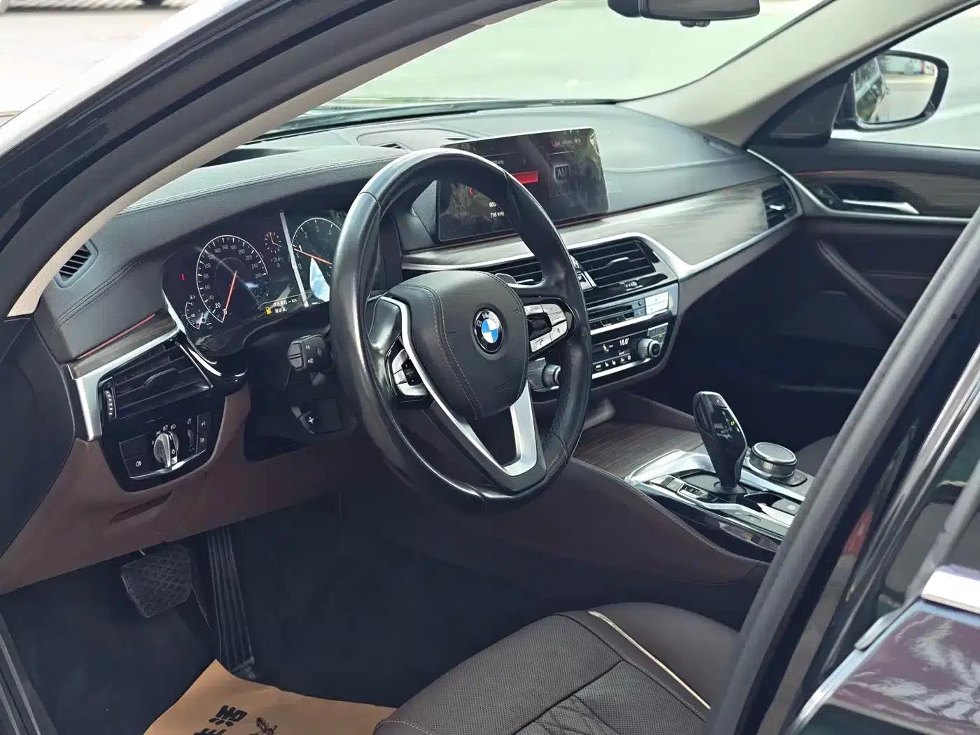 BMW 5 Series 2019 530Li Luxury Package — миниатюра 10