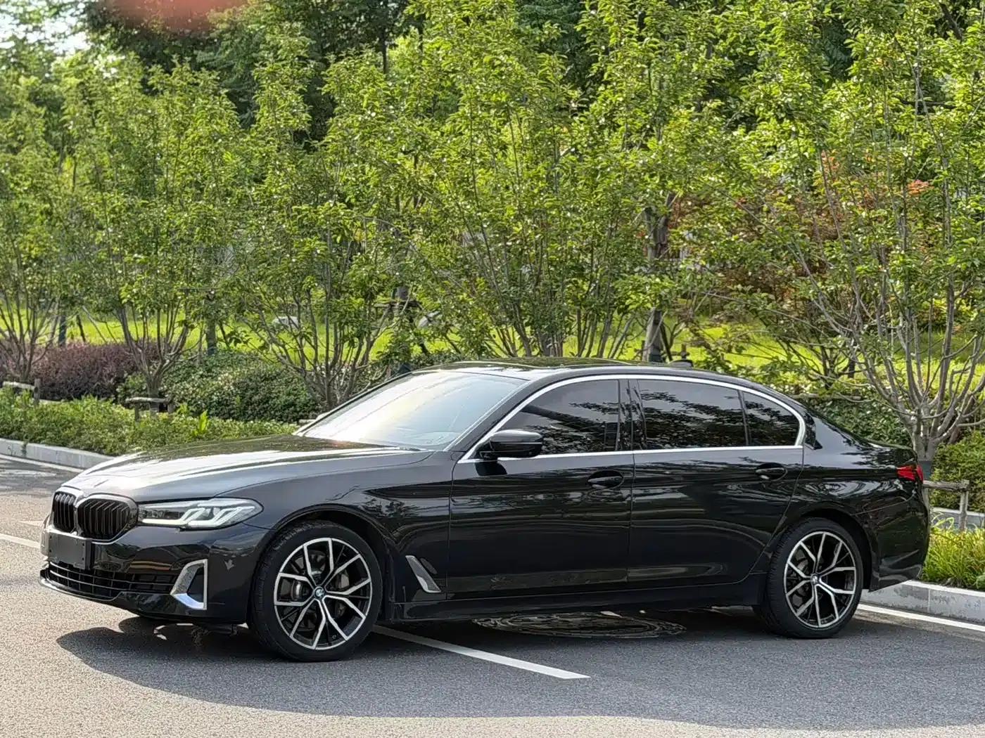 BMW 5 Series 2021 530Li Luxury Package — миниатюра 1