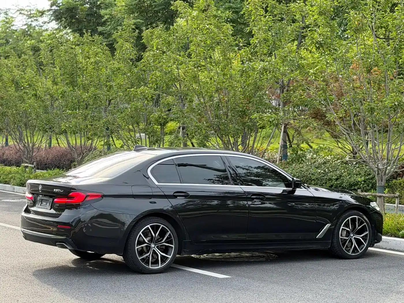 BMW 5 Series 2021 530Li Luxury Package — миниатюра 9