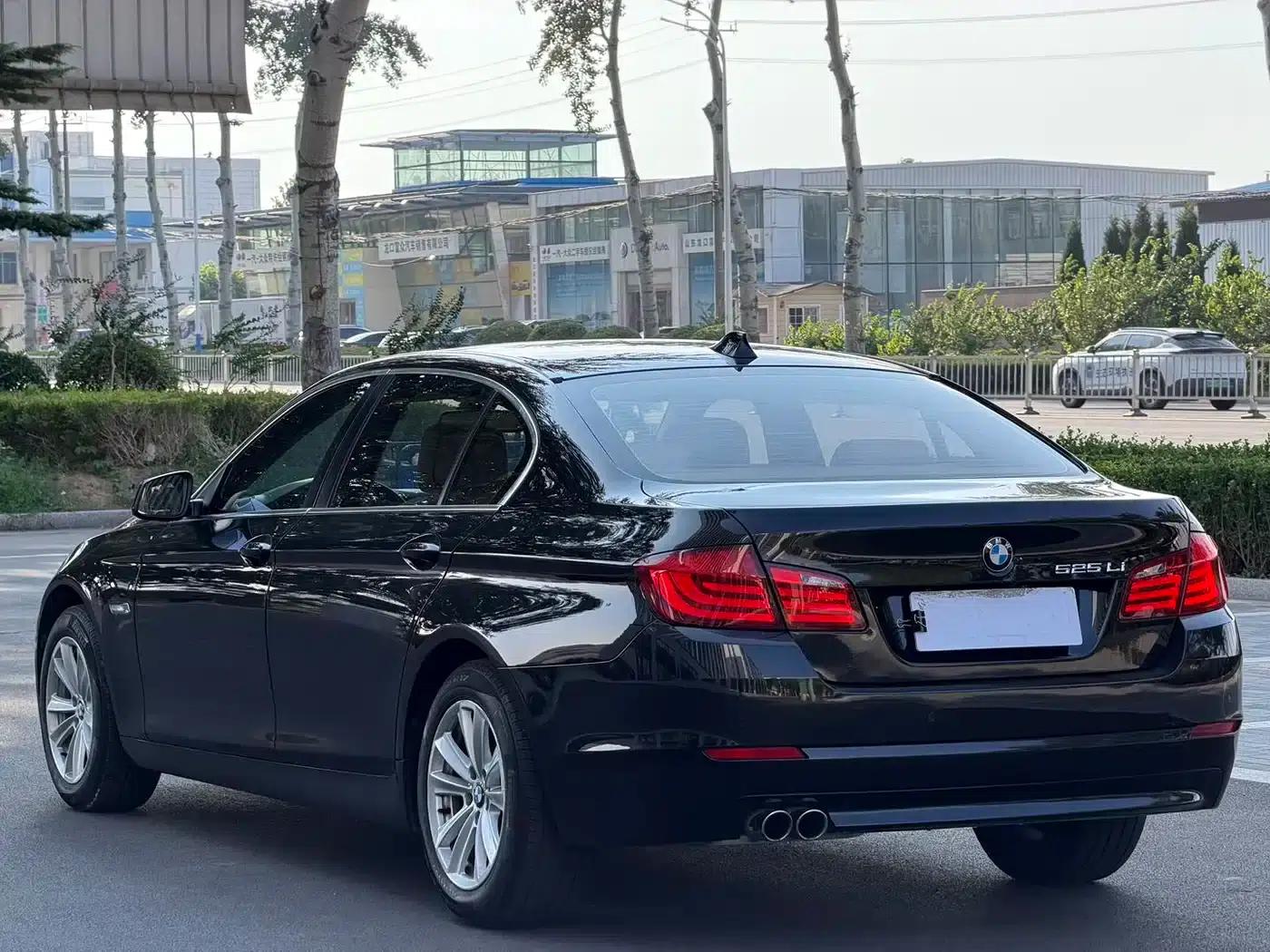 BMW 5 Series 2013 525Li Luxury — миниатюра 4