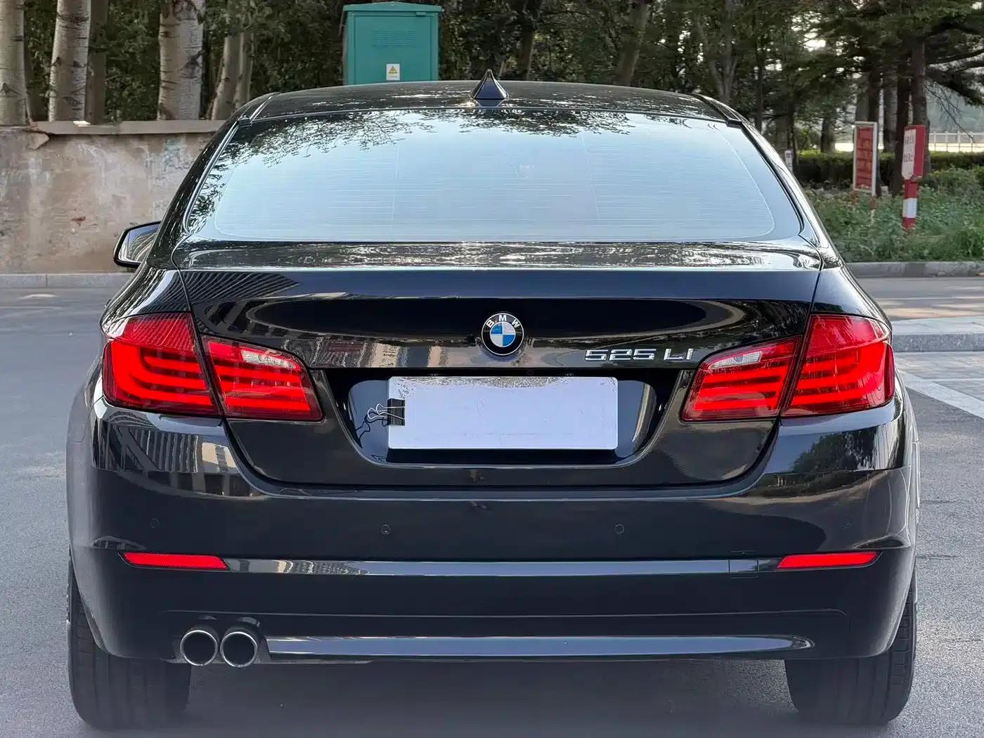 BMW 5 Series 2013 525Li Luxury — миниатюра 5
