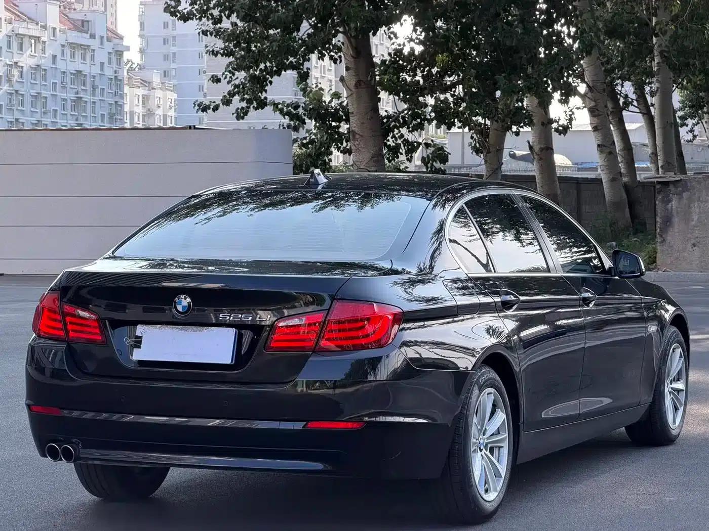 BMW 5 Series 2013 525Li Luxury — миниатюра 6