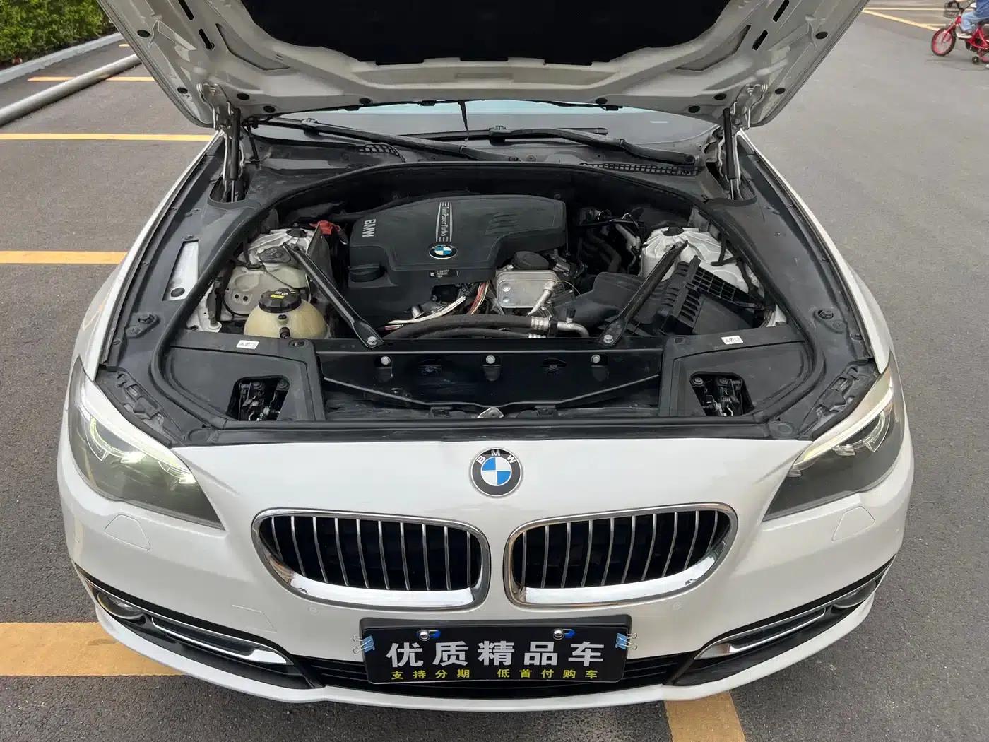 2017 BMW 5 Series 525Li Luxury Design Package — миниатюра 26