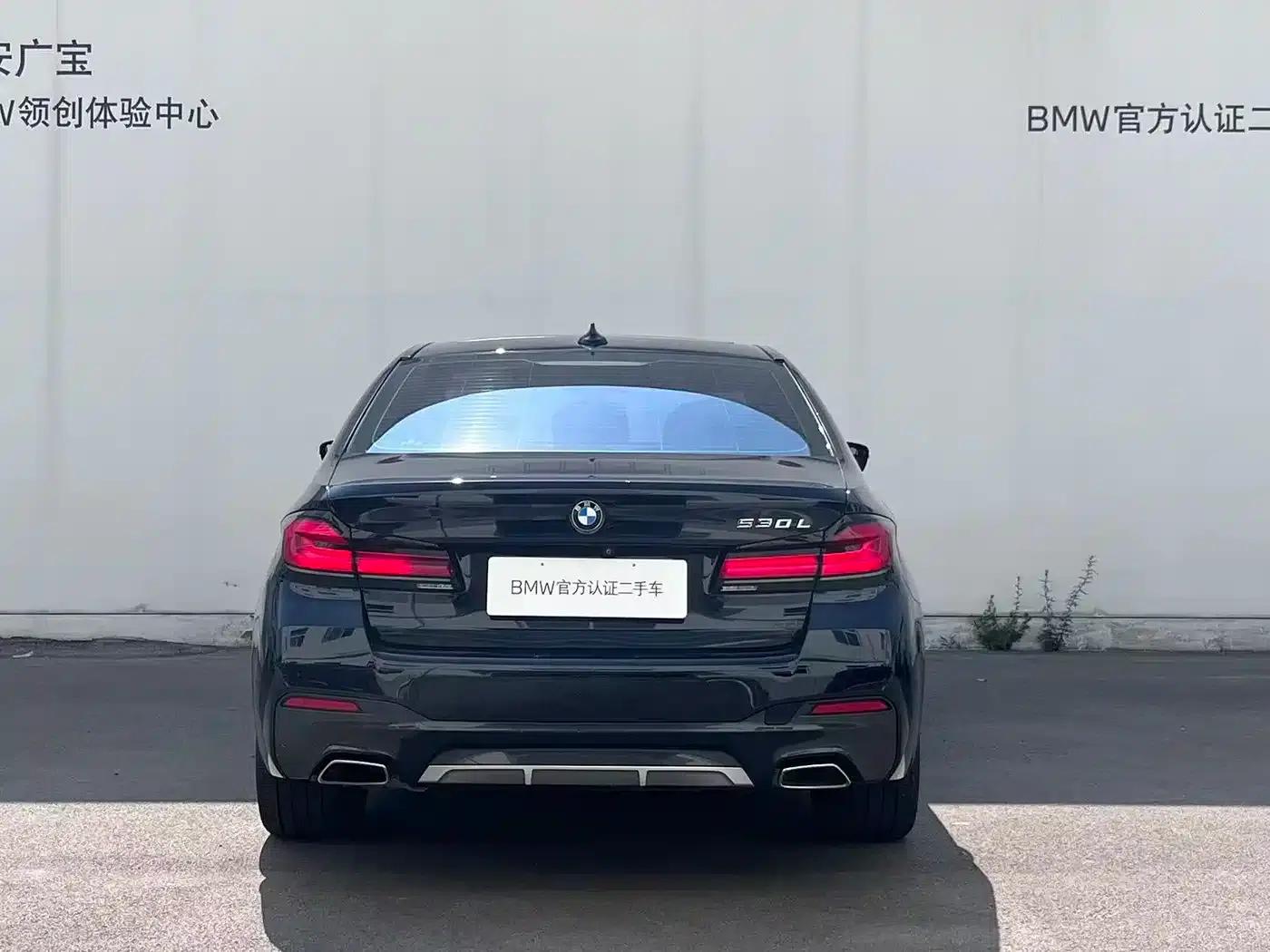 2021 BMW 5 Series 530Li Luxury M Sport Package — миниатюра 5