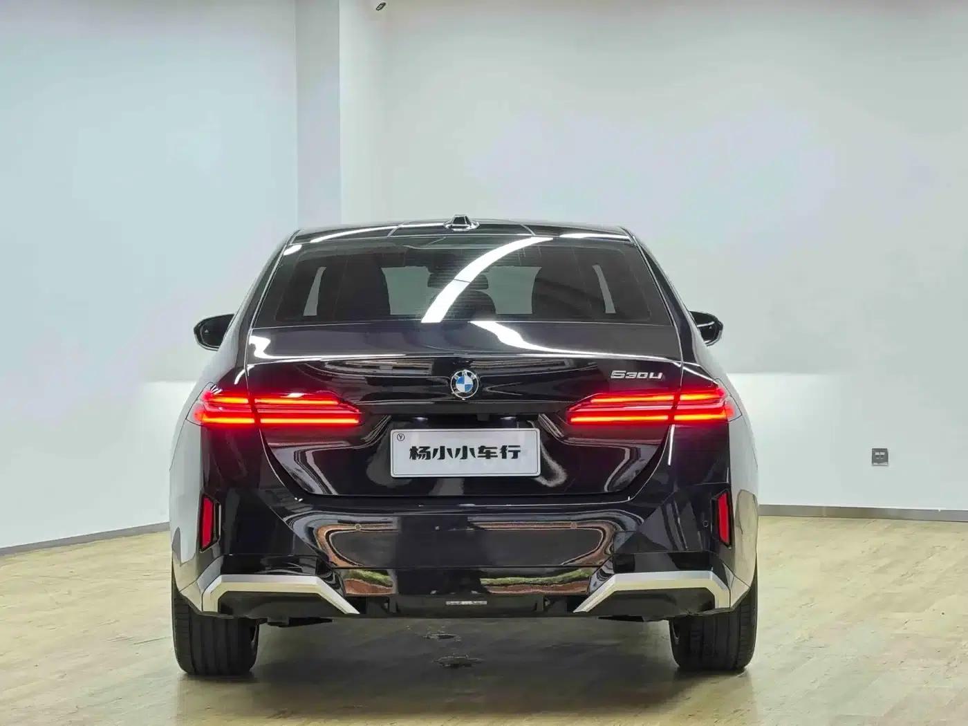 2024 BMW 5 Series 530Li Leading Edition M Sport Package — миниатюра 28