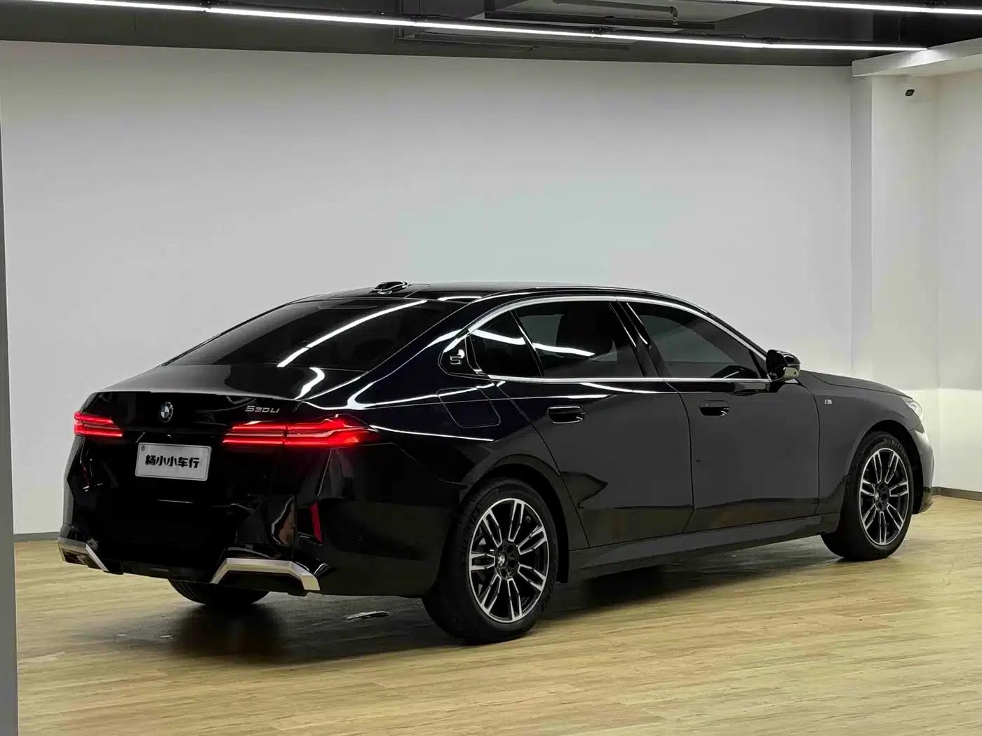 2024 BMW 5 Series 530Li Leading Edition M Sport Package — миниатюра 29