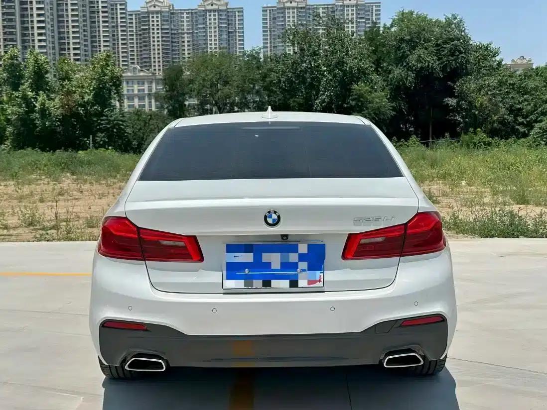 2020 BMW 5 Series 525Li M Sport Package — миниатюра 8
