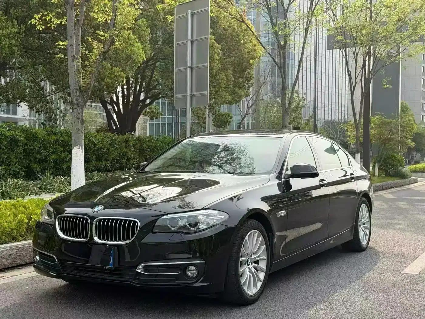 2017 BMW 5 Series 525Li Luxury Design Package — миниатюра 1