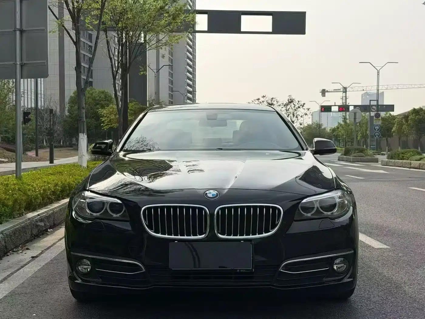 2017 BMW 5 Series 525Li Luxury Design Package — миниатюра 2