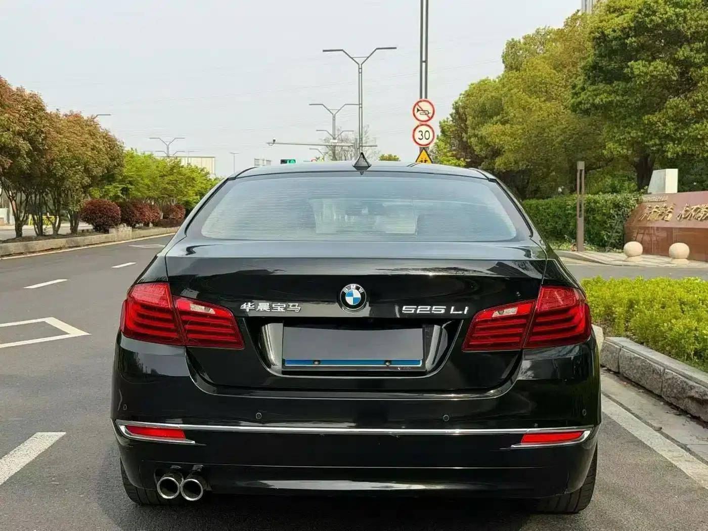 2017 BMW 5 Series 525Li Luxury Design Package — миниатюра 8