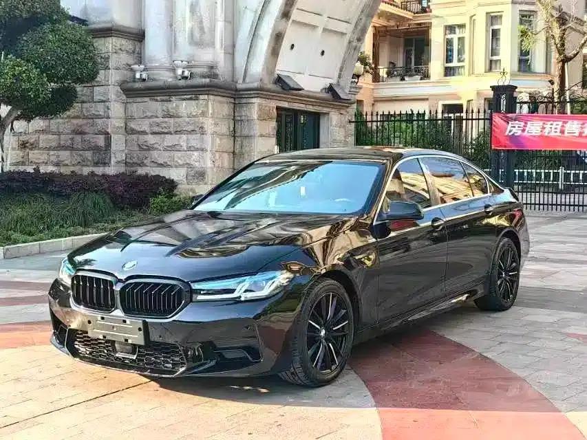 BMW 5 Series 2010 523Li Leading Edition — миниатюра 2