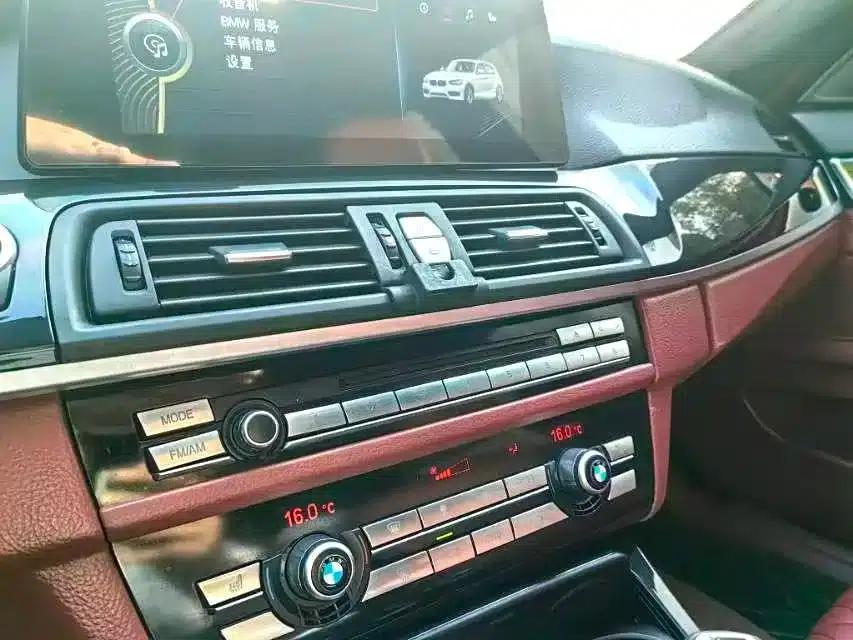BMW 5 Series 2010 523Li Leading Edition — миниатюра 14