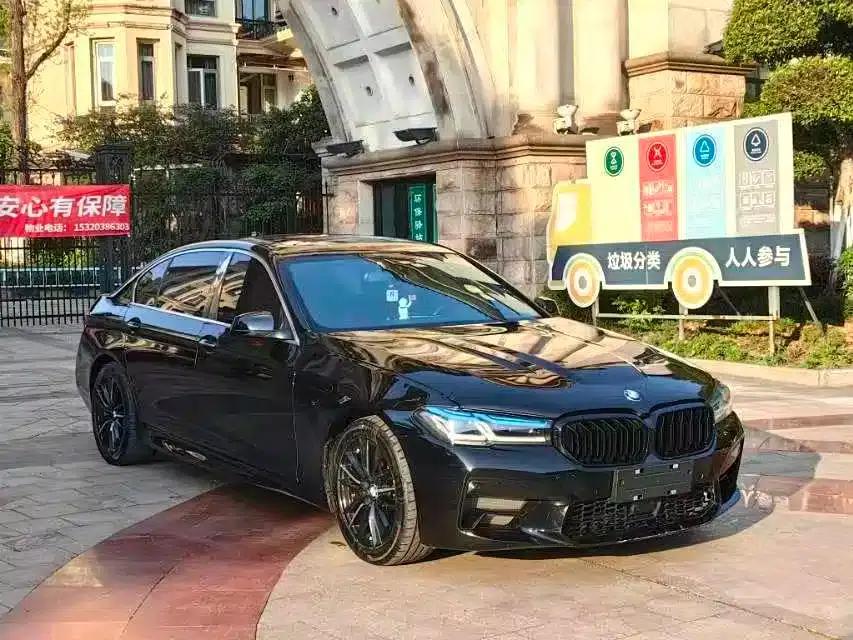BMW 5 Series 2010 523Li Leading Edition — миниатюра 5