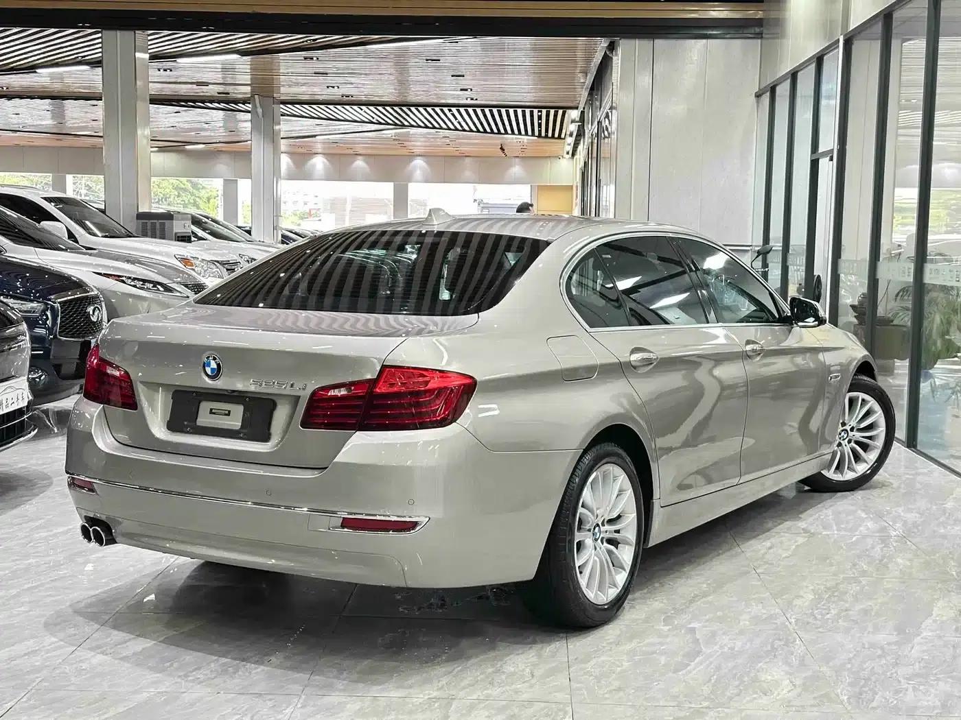 2017 BMW 5 Series 525Li Luxury Design Package — миниатюра 4