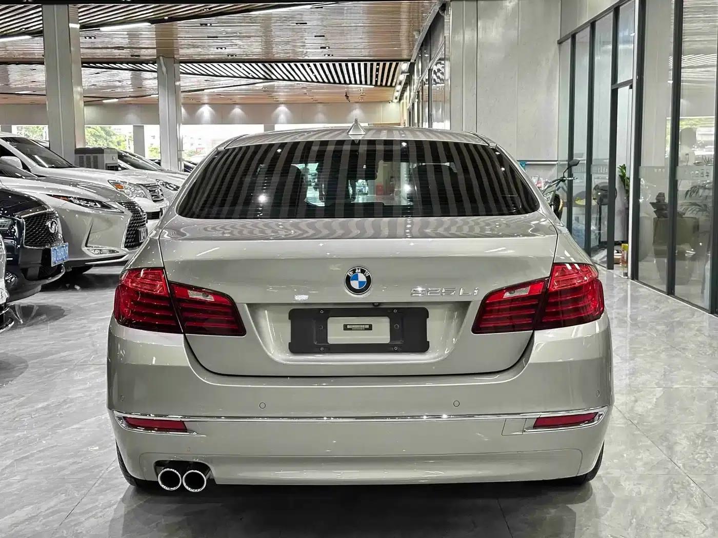 2017 BMW 5 Series 525Li Luxury Design Package — миниатюра 5