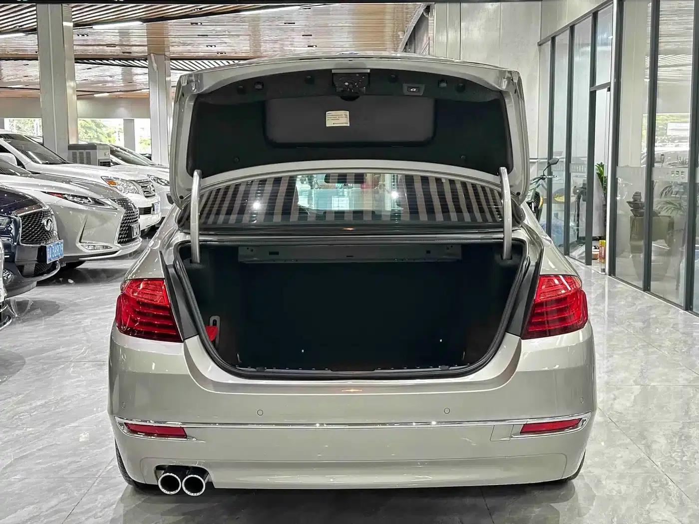 2017 BMW 5 Series 525Li Luxury Design Package — миниатюра 9