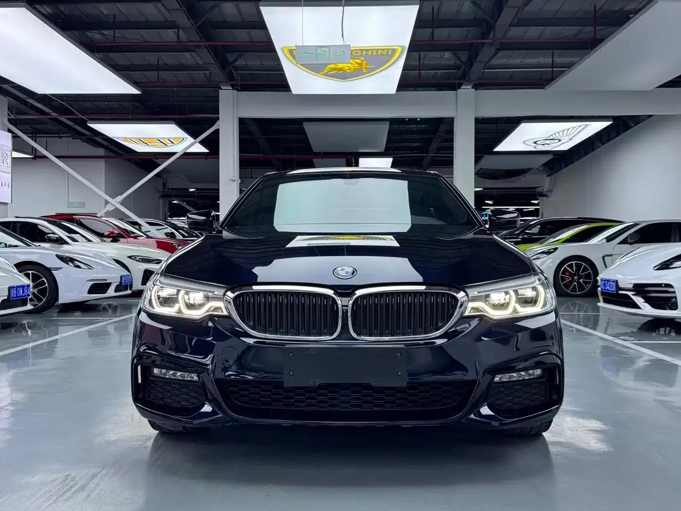 2018 BMW 5 Series Facelift 530Li Leading Edition M Sport Package — миниатюра 2