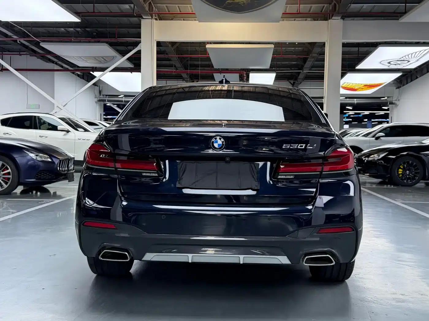 2022 BMW 5 Series 530Li Leading Edition M Sport Package — миниатюра 21