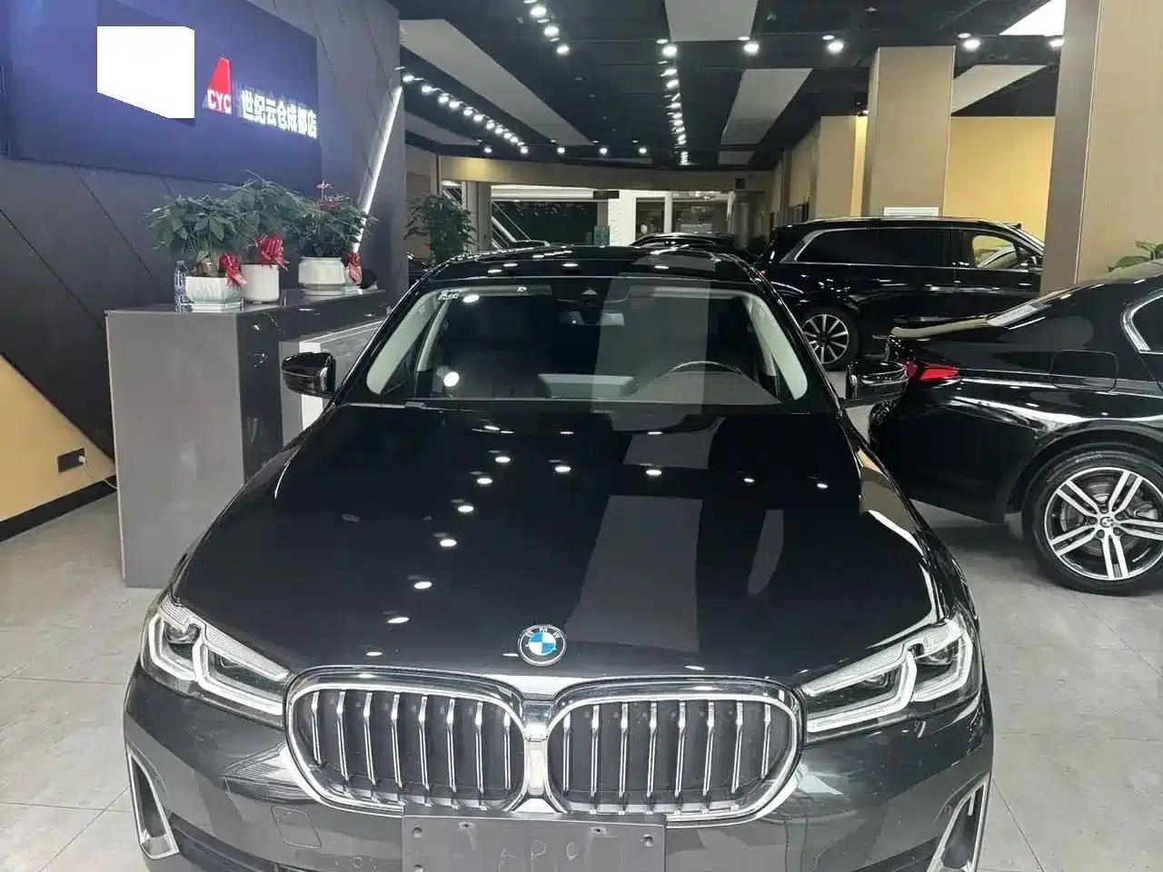 2021 BMW 5 Series 525Li Luxury Package — миниатюра 2