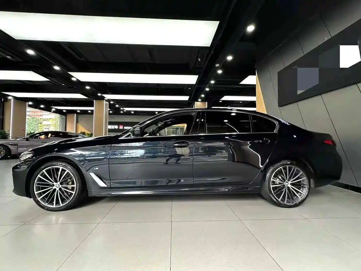 2021 BMW 5 Series 530Li Leading Edition M Sport Package — миниатюра 5