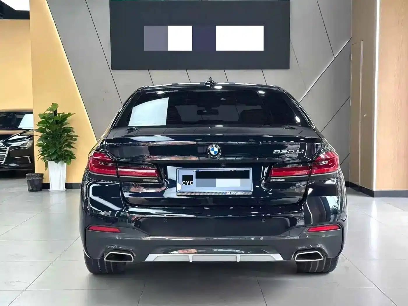 2021 BMW 5 Series 530Li Leading Edition M Sport Package — миниатюра 6