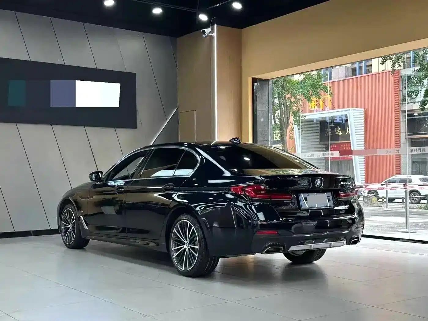 2021 BMW 5 Series 530Li Leading Edition M Sport Package — миниатюра 7