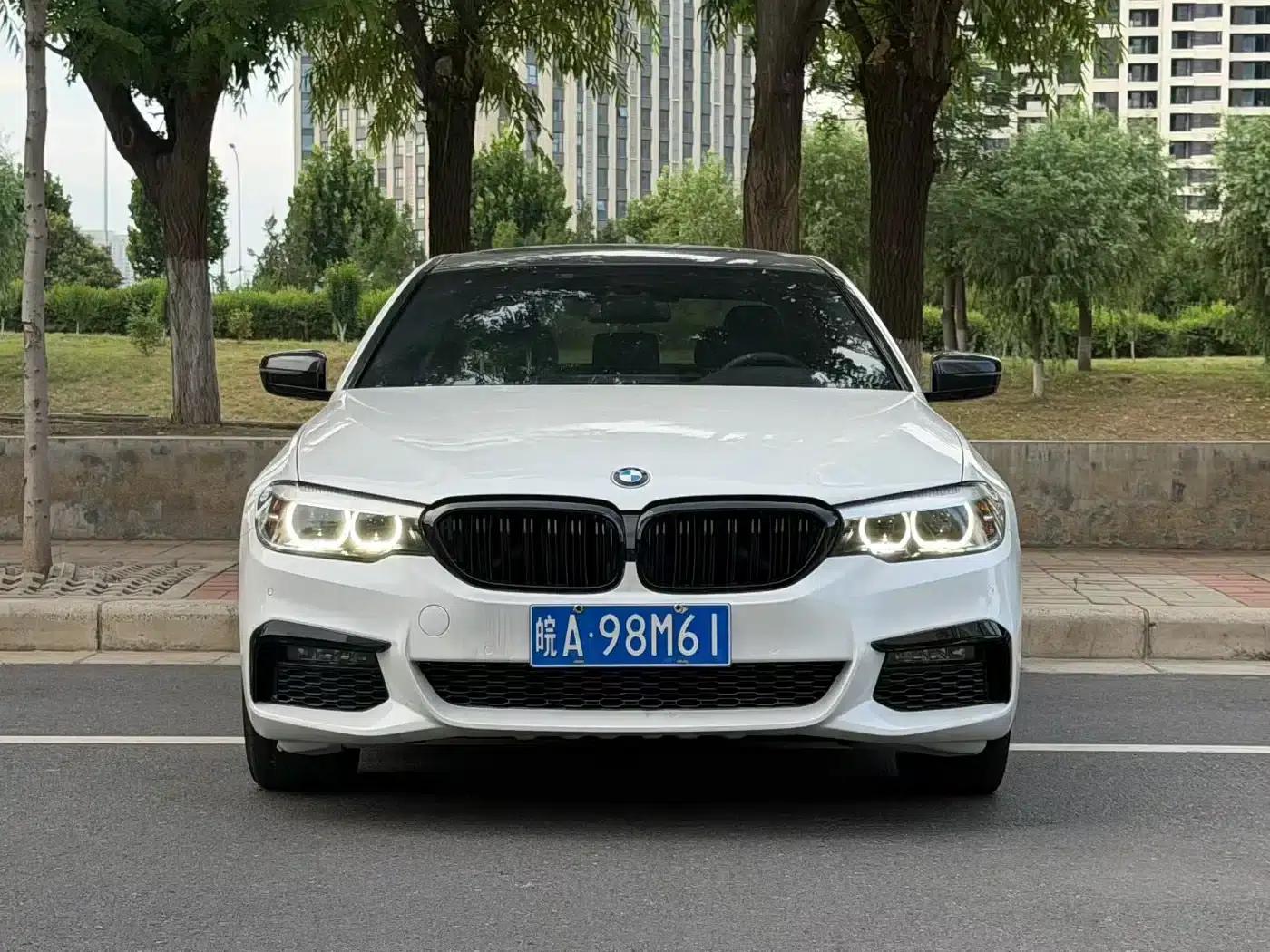 2019 BMW 5 Series 525Li M Sport Package — миниатюра 2