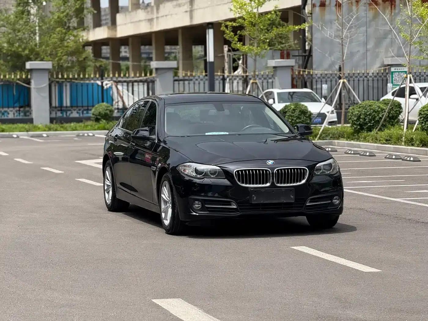 2014 BMW 5 Series 520Li Elegant Edition — миниатюра 3