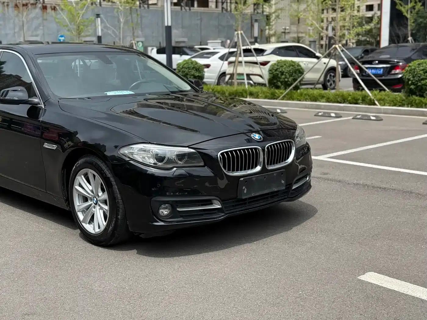 2014 BMW 5 Series 520Li Elegant Edition — миниатюра 5