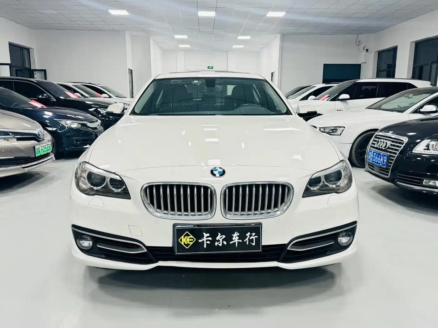 2013 BMW 5 Series 525Li Excellence Edition — миниатюра 2