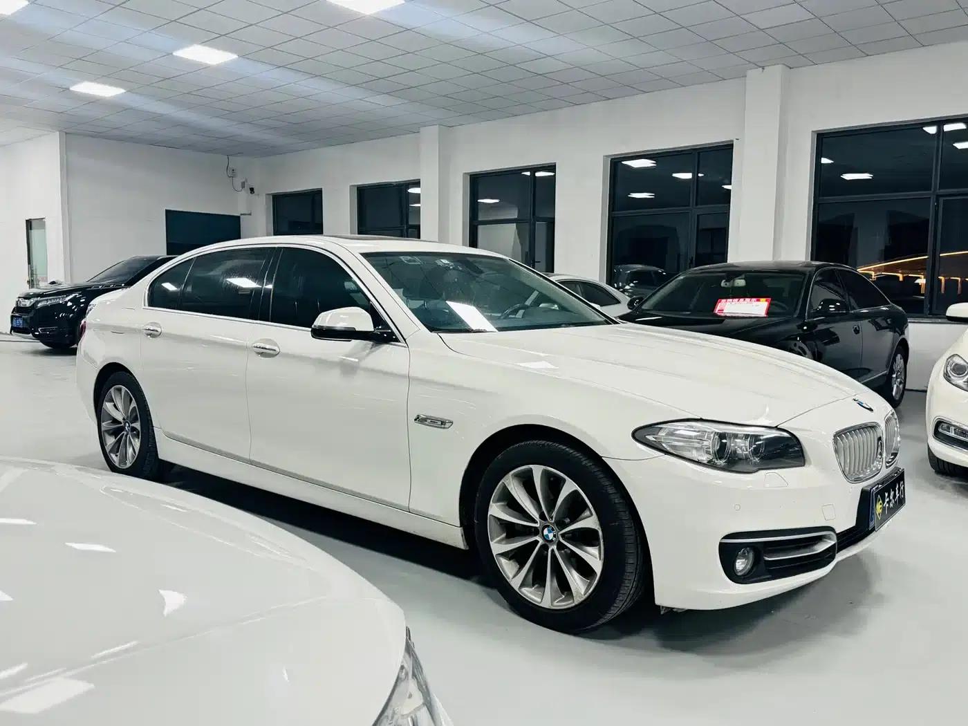 2013 BMW 5 Series 525Li Excellence Edition — миниатюра 3