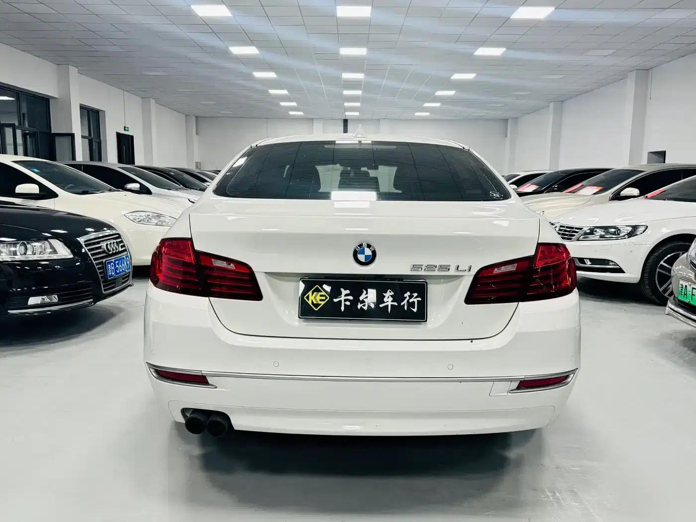 2013 BMW 5 Series 525Li Excellence Edition — миниатюра 8