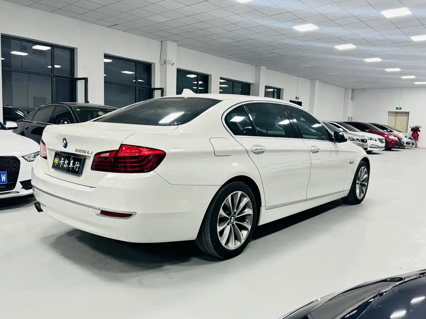 2013 BMW 5 Series 525Li Excellence Edition — миниатюра 9