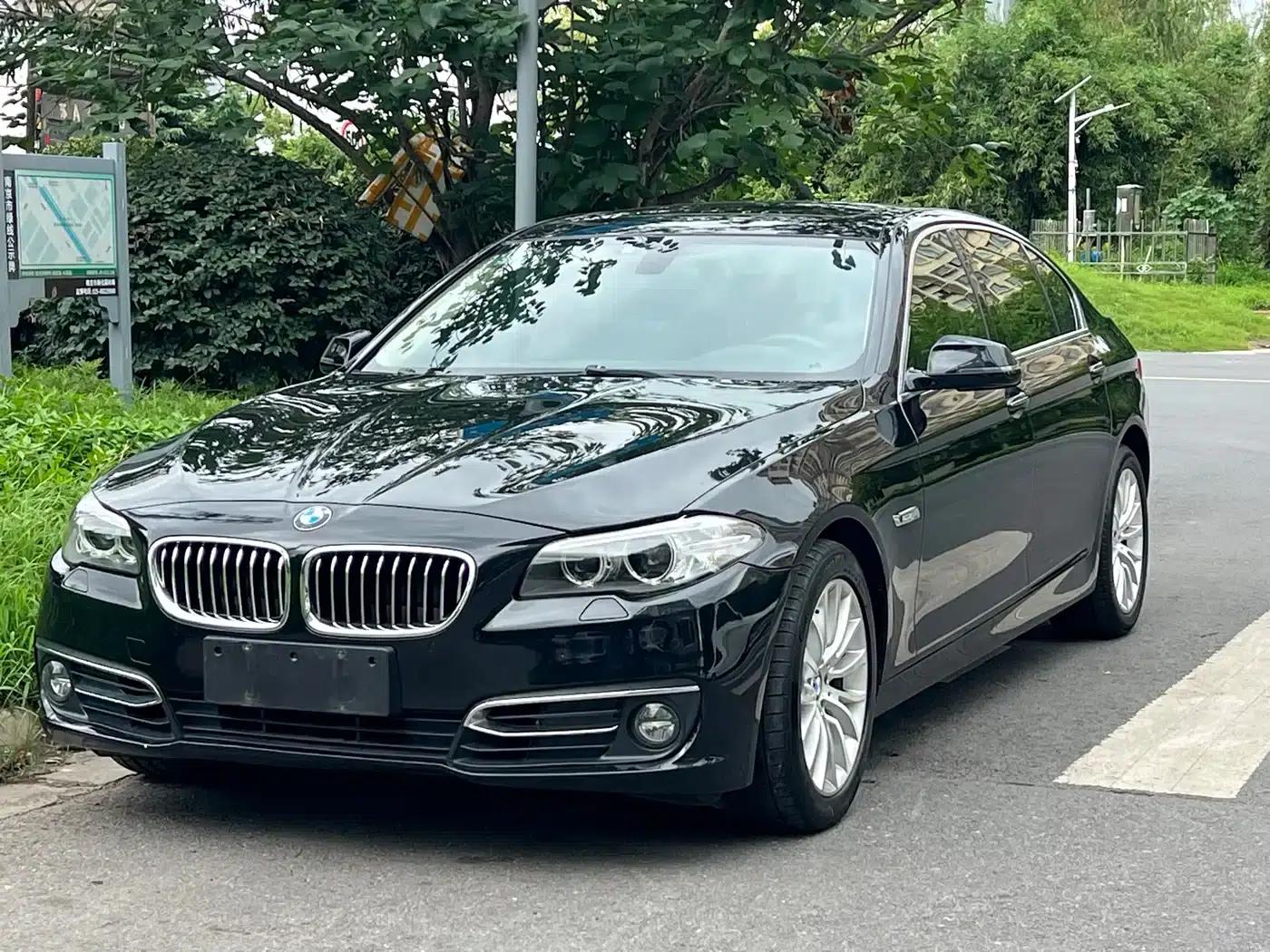 2014 BMW 5 Series 525Li Luxury Design Package — миниатюра 1