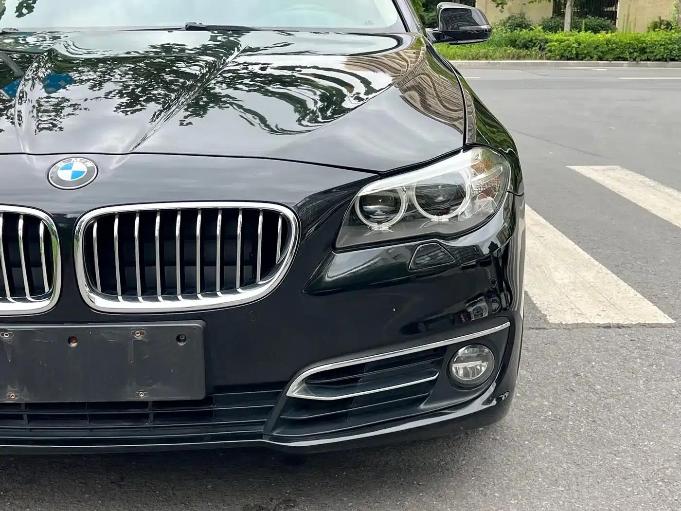 2014 BMW 5 Series 525Li Luxury Design Package — миниатюра 20
