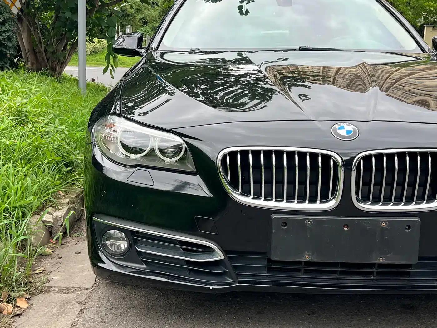 2014 BMW 5 Series 525Li Luxury Design Package — миниатюра 21