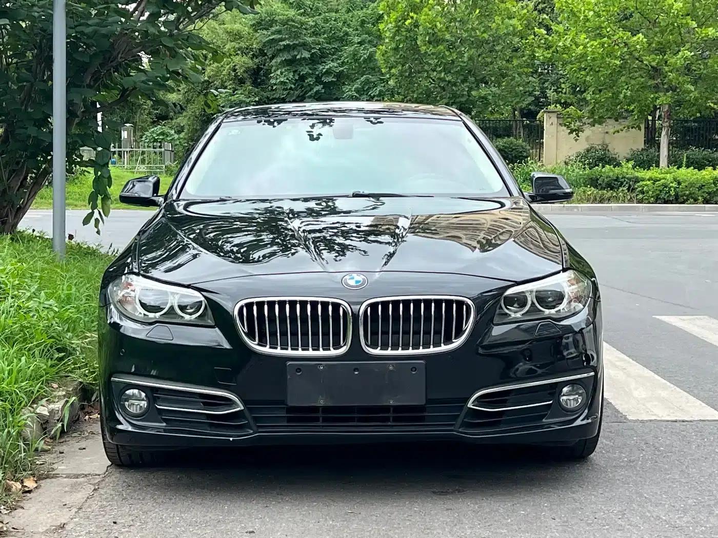 2014 BMW 5 Series 525Li Luxury Design Package — миниатюра 22