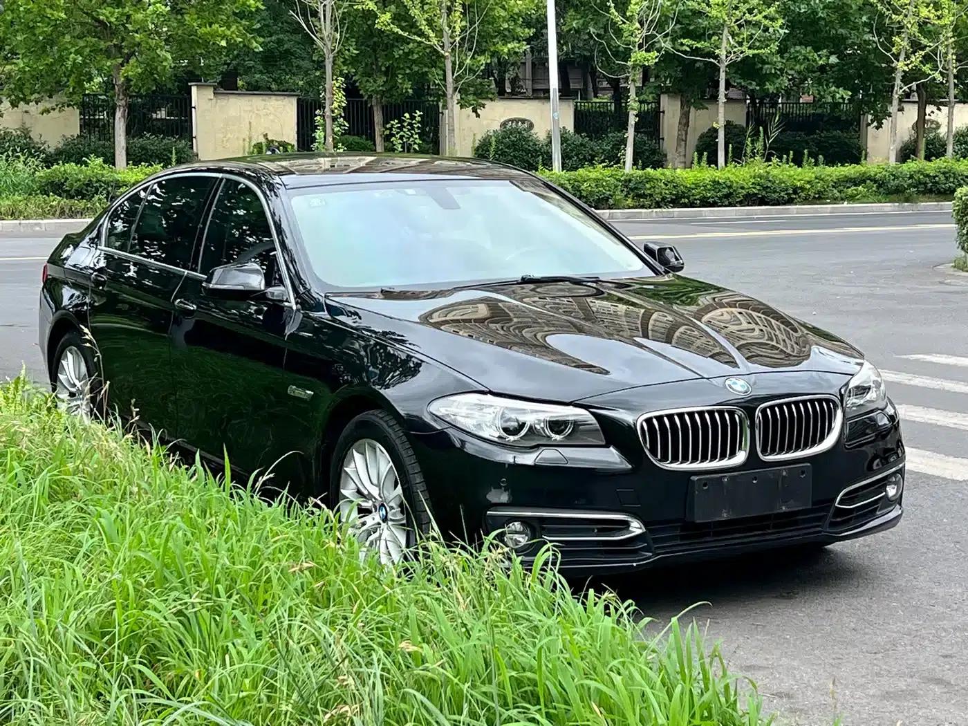 2014 BMW 5 Series 525Li Luxury Design Package — миниатюра 4