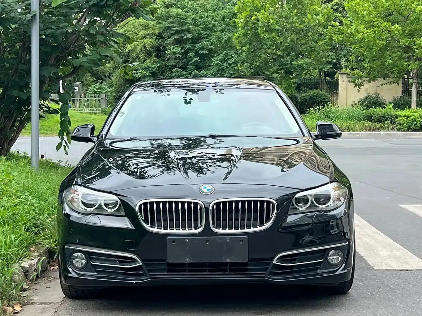 2014 BMW 5 Series 525Li Luxury Design Package — миниатюра 5