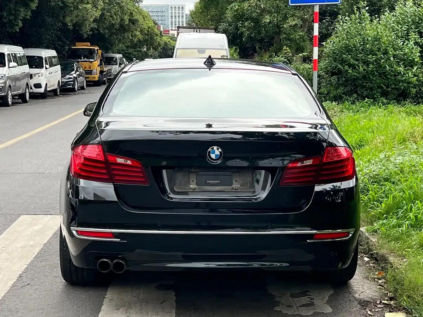 2014 BMW 5 Series 525Li Luxury Design Package — миниатюра 6