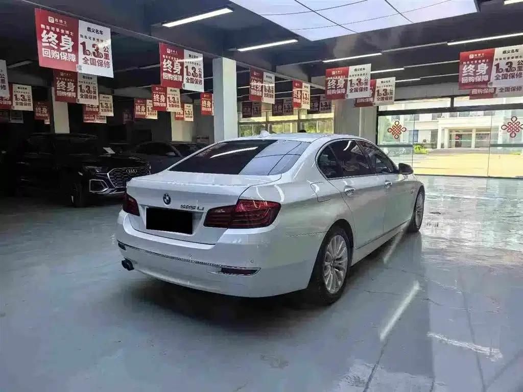 2014 BMW 5 Series 525Li Luxury Design Package — миниатюра 8